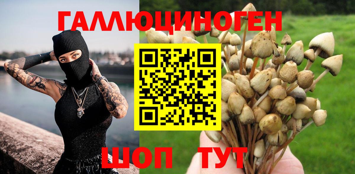 Псилоцибиновые грибы MAGIC MUSHROOMS Новоуральск