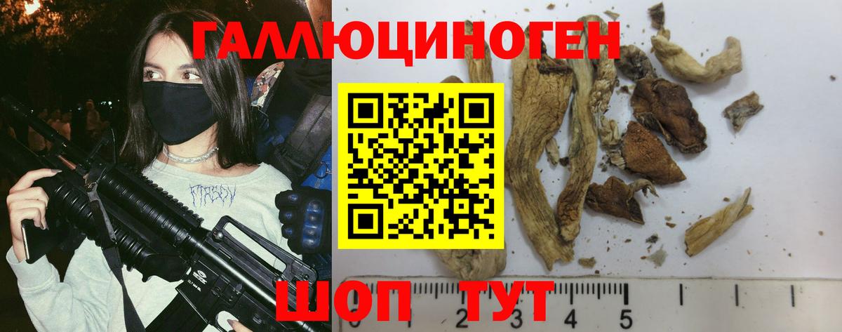 Новоуральск  Псилоцибиновые грибы Magic Shrooms  Вход с VPN  Псилоцибиновые грибы Psilocybe 